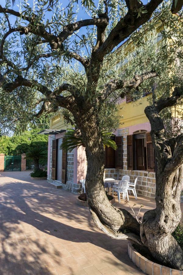 Villa Santa Lucia 체팔루 외부 사진