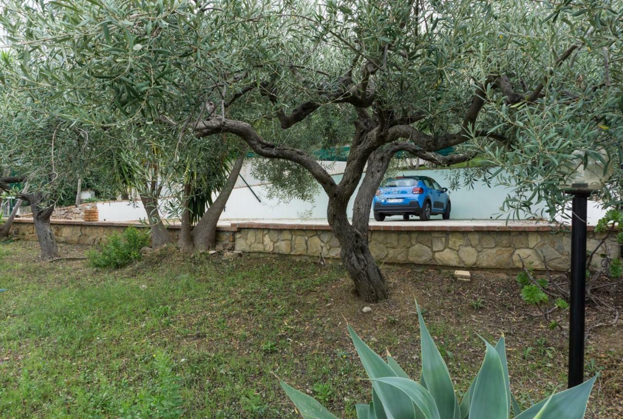 Villa Santa Lucia 체팔루 외부 사진